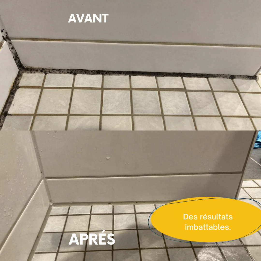 Orsilane – Kit Anti-Moisissures