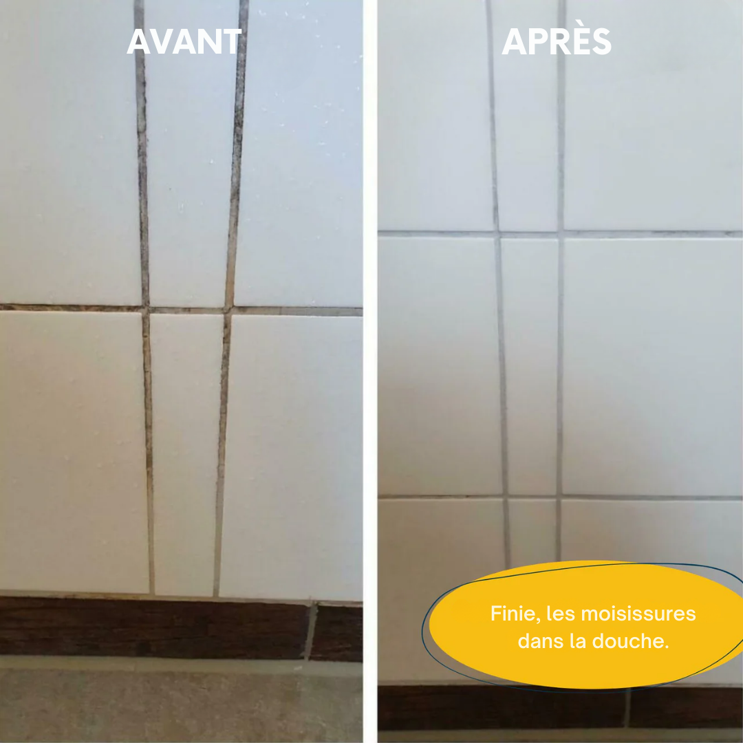 Orsilane – Kit Anti-Moisissures
