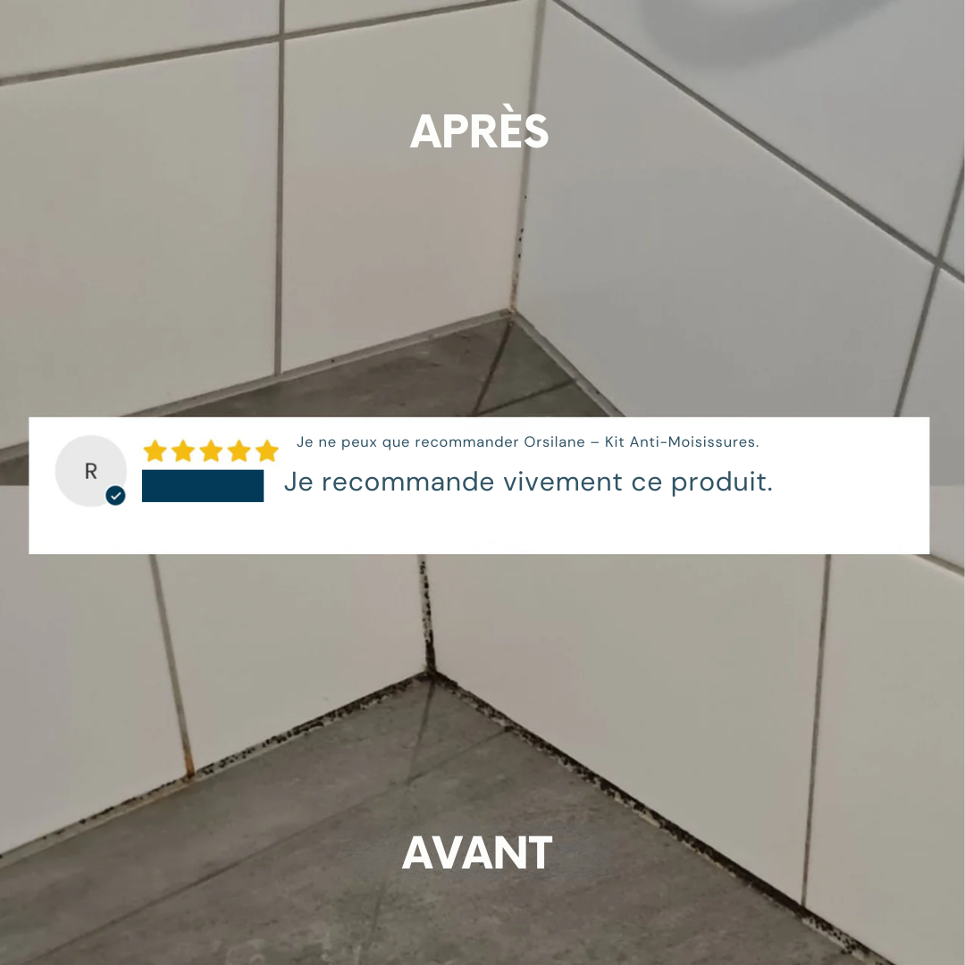 Orsilane – Kit Anti-Moisissures